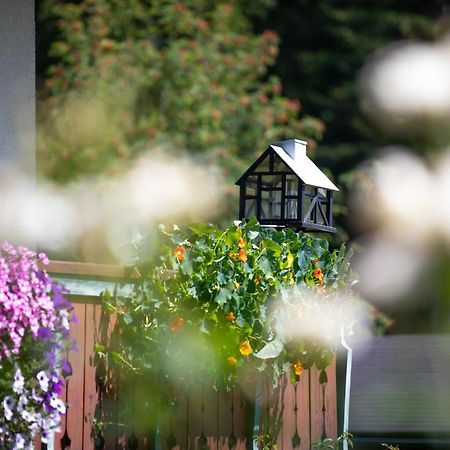 Bed and Breakfast Alpenhof Ramsau am Dachstein Esterno foto