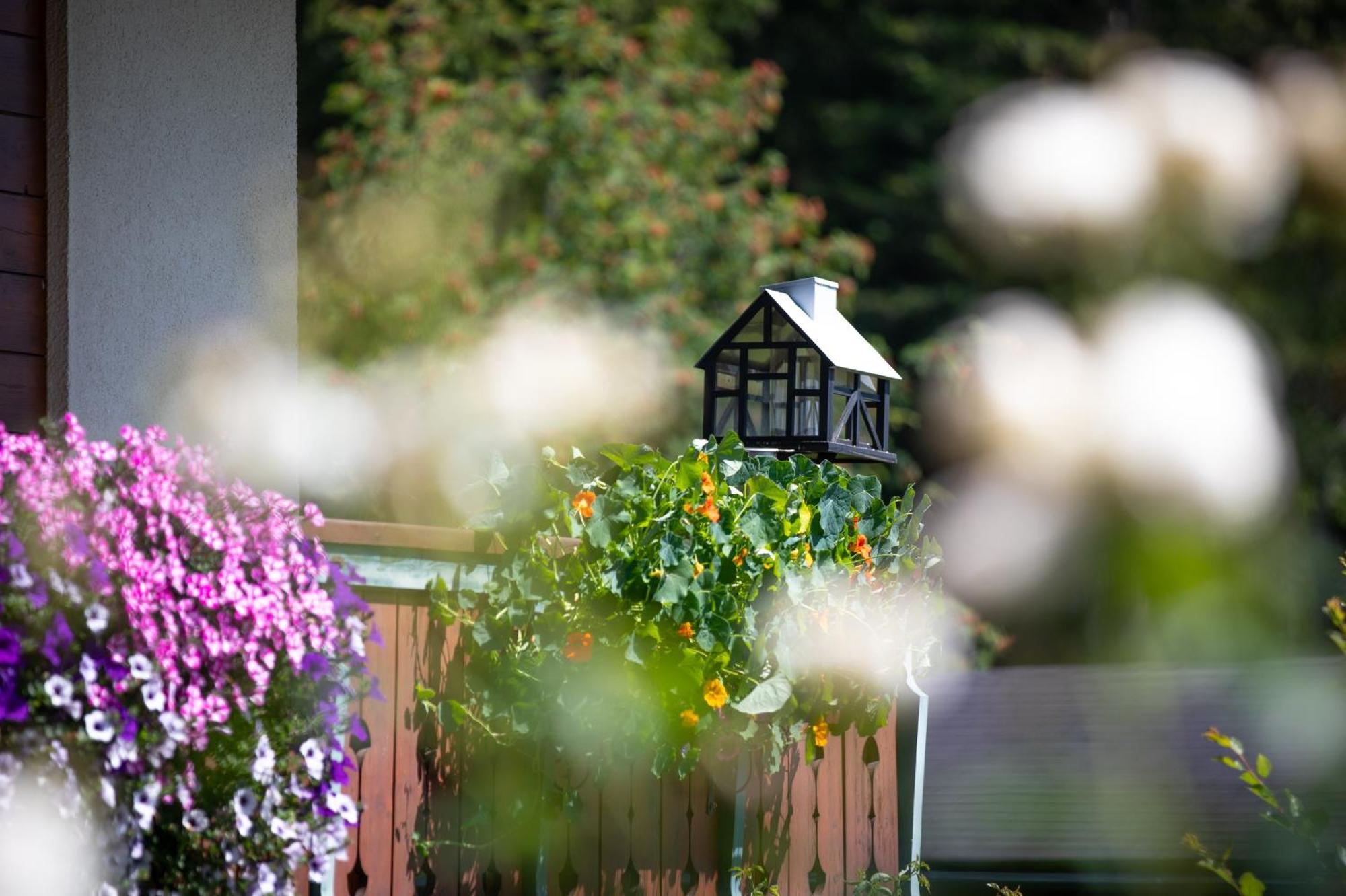 Bed and Breakfast Alpenhof Ramsau am Dachstein Esterno foto